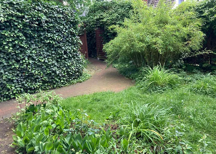 Schwalbennest